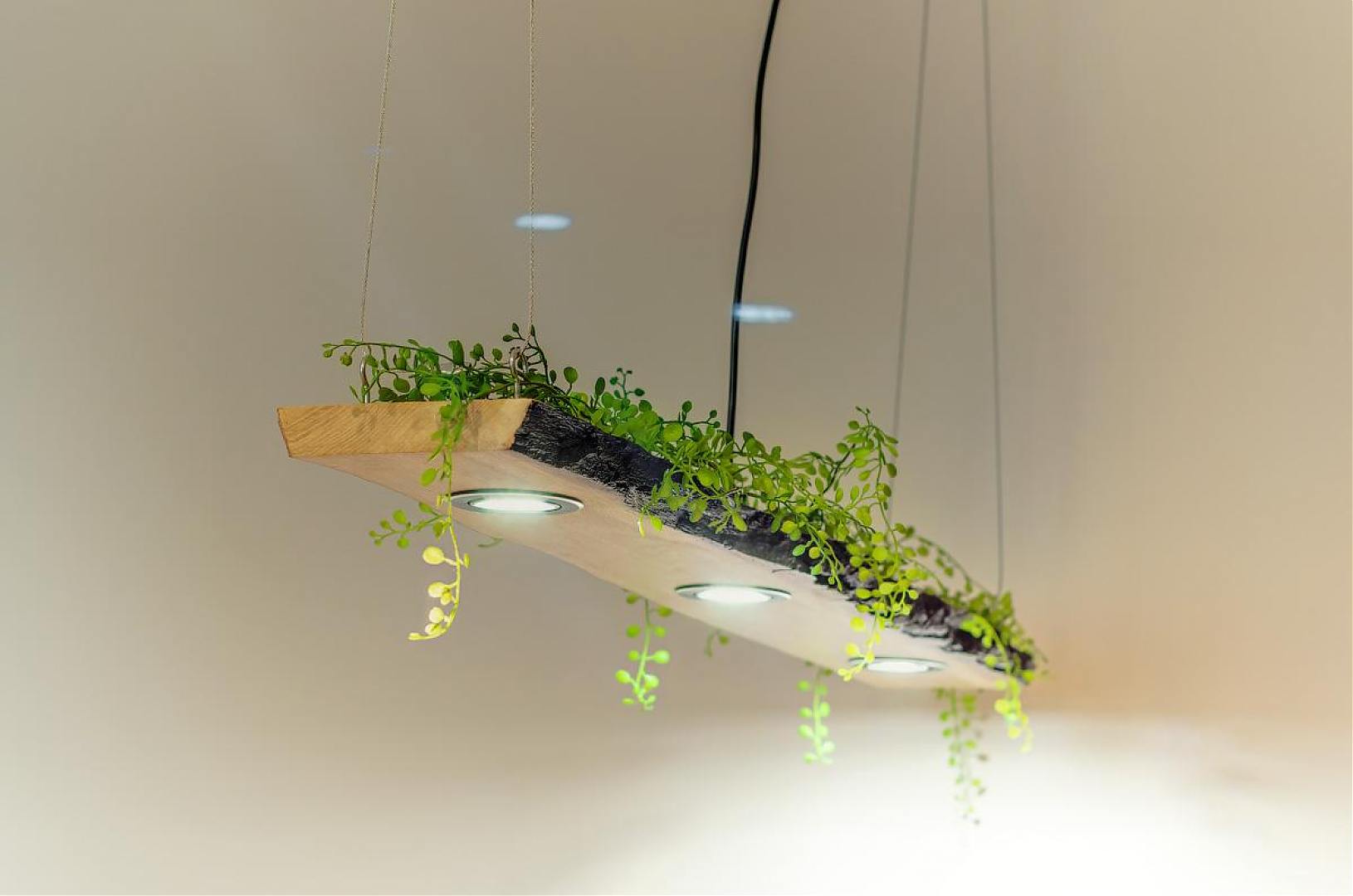 Architecture Workshop 2 — фото 6
